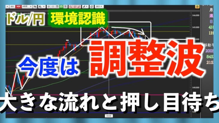 【FX ドル円 初心者向け環境認識 23年7月3週】今度は長期上昇トレンドの調整に？全体の流れとどこで押し目買いを狙うかポイントを確認！
