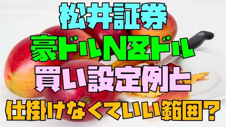 松井証券 FX自動売買 豪ドルNZドル(オージーキウイ) 買い設定例 売りをすでに稼働中なら資金5万円