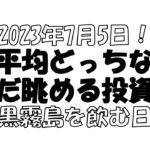 【株とFXと雑談ライブ】2023/7/5  日経平均は上なのか下なのか？？株と女心を先読みするのは無理ゲー！酒飲んで待つおじさん。本日は黒白波。【独身アラフォートレーダー】