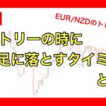 【FX】エントリーの時に下位足に落とすタイミングとは？EUR/NZDトレード解説