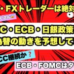 【超重要】米国株・FXトレーダーは絶対見て！FOMC.FCB.日銀政策金利決定会合後のメインシナリオとサブシナリオを解説してます！米国株は強気相場のまま上昇しそうな予感！ドル円は再度1ドル145円を？