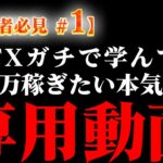 FX完全解説！今日から始めるFXの基礎知識！第一章