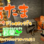 【Minecraft】あたまでっかちMinecraft ブランチマイニング編 #マイクラ若葉鯖