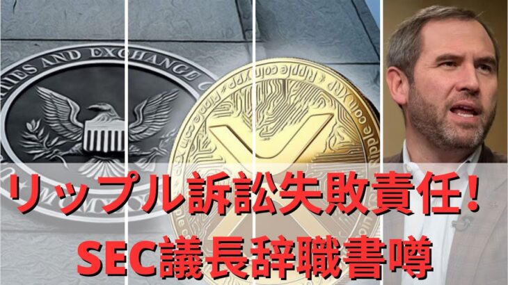 最後に事件終了？  リップル訴訟失敗責任！ SEC議長辞職書噂、「SEC配列2位誰だよ」！ ビットコイン20Kリテスト可能性？ 視点はいつ頃？ XRPニュース今日！- BTC XRP