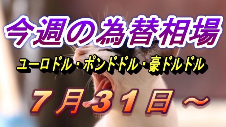 【TAKA FX】ドル、円、ユーロ、ポンド、豪ドルの今週の動きと来週の展望をチャートから解説。7月31日～