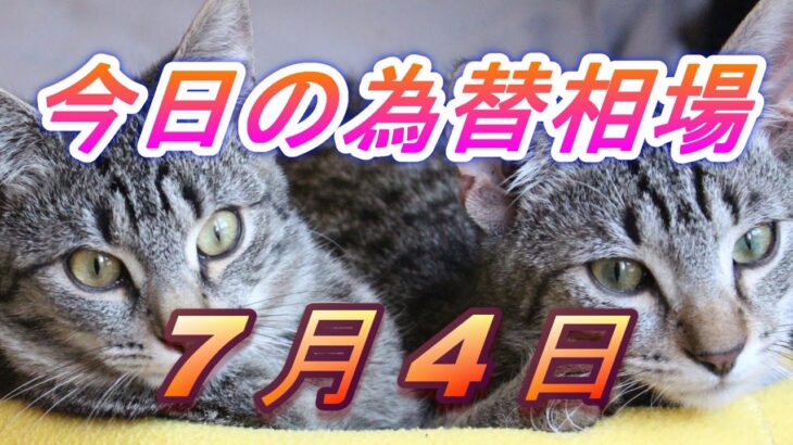 【TAKA FX】ドル、円、ユーロ、ポンド、豪ドルの為替相場の前日の動きをチャートから解説。7月4日