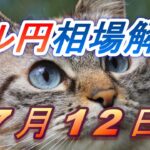 【TAKA FX】ドル円為替相場の前日の動きをチャートから解説。日経平均、NYダウ、金チャートも。7月12日