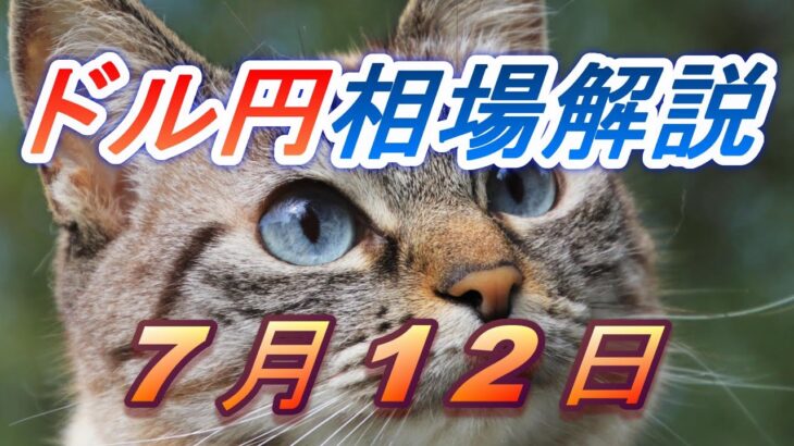 【TAKA FX】ドル円為替相場の前日の動きをチャートから解説。日経平均、NYダウ、金チャートも。7月12日