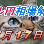 【TAKA FX】ドル円為替相場の今週の動きと来週の展望をチャートから解説。日経平均、NYダウ、金チャートも。7月17日～