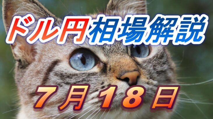 【TAKA FX】ドル円為替相場の前日の動きをチャートから解説。日経平均、NYダウ、金チャートも。7月18日