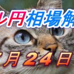 【TAKA FX】ドル円為替相場の今週の動きと来週の展望をチャートから解説。日経平均、NYダウ、金チャートも。7月24日～