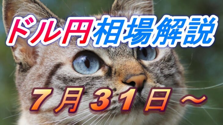 【TAKA FX】ドル円為替相場の今週の動きと来週の展望をチャートから解説。日経平均、NYダウ、金チャートも。7月31日～