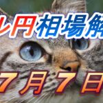 【TAKA FX】ドル円為替相場の前日の動きをチャートから解説。日経平均、NYダウ、金チャートも。7月7日