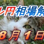 【TAKA FX】ドル円為替相場の前日の動きをチャートから解説。日経平均、NYダウ、金チャートも。8月1日