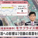 YCC(長短金利操作)をサプライズ修正 市場や生活への影響は？日銀の真意を徹底分析【日経プラス９】（2023年7月28日）