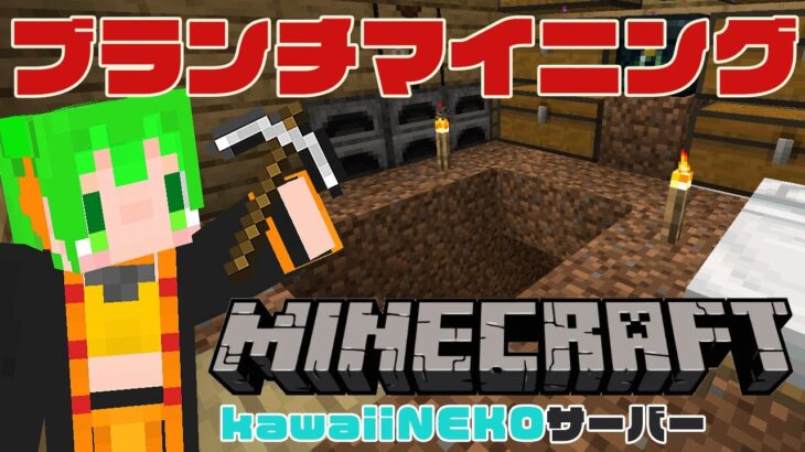 【マイクラ】ブランチマイニングするぞっ！！！⛏part 3【#kawaiiまいくらねこ】