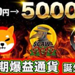 【最新情報】イーロン砲で先行者利益を狙う！新通貨に向けた準備とは。