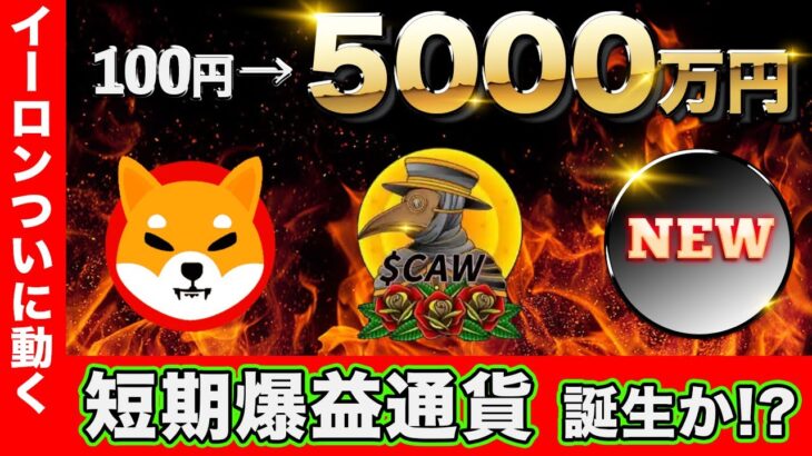 【最新情報】イーロン砲で先行者利益を狙う！新通貨に向けた準備とは。