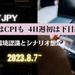 【FX】来週はCPIも 4H週初は下目線（環境認識＆シナリオ想定）8/7~ 【USDJPY】Weekly Forex Analysis