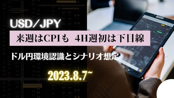 【FX】来週はCPIも 4H週初は下目線（環境認識＆シナリオ想定）8/7~ 【USDJPY】Weekly Forex Analysis