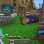 第２回ドラ王国マイニング大会！【マイクラ/マインクラフト/Minecraft】