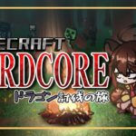 【#Minecraft】死んだらおしまいドラゴン討伐の旅　＃19【ソロハードコア】