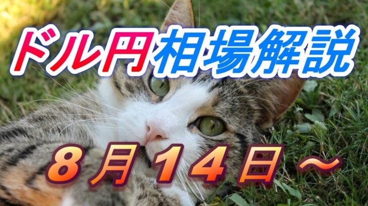 【TAKA FX】ドル円為替相場の今週の動きと来週の展望をチャートから解説。日経平均、NYダウ、金チャートも。8月14日～