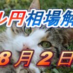 【TAKA FX】ドル円為替相場の前日の動きをチャートから解説。日経平均、NYダウ、金チャートも。8月2日