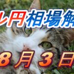 【TAKA FX】ドル円為替相場の前日の動きをチャートから解説。日経平均、NYダウ、金チャートも。8月3日