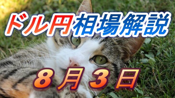 【TAKA FX】ドル円為替相場の前日の動きをチャートから解説。日経平均、NYダウ、金チャートも。8月3日