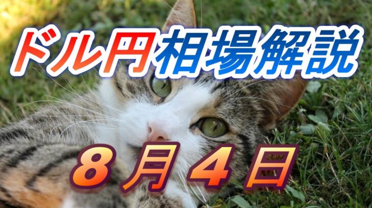 【TAKA FX】ドル円為替相場の前日の動きをチャートから解説。日経平均、NYダウ、金チャートも。8月4日