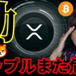 【動く】リップル(XRP)また危機。某仮想通貨が急騰！