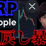 リップル(XRP)全戻し暴落！そこから学ぶべき法則。バブル時の価格は？