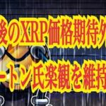 【仮想通貨リップルXRP情報局】判決後のXRP価格期待外れもディートン氏、楽観を維持！！