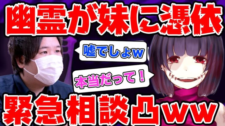 【コレコレ切り抜き】妹が幽霊に取り憑かれたから助けて！兄から緊急相談www