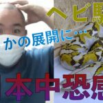 【コレコレ 切り抜き】日本中恐感！！ヘビ騒動まさかの結末に…