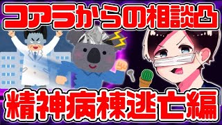 コアラからの相談凸 ～精神病棟逃亡編～【2021/11/09】