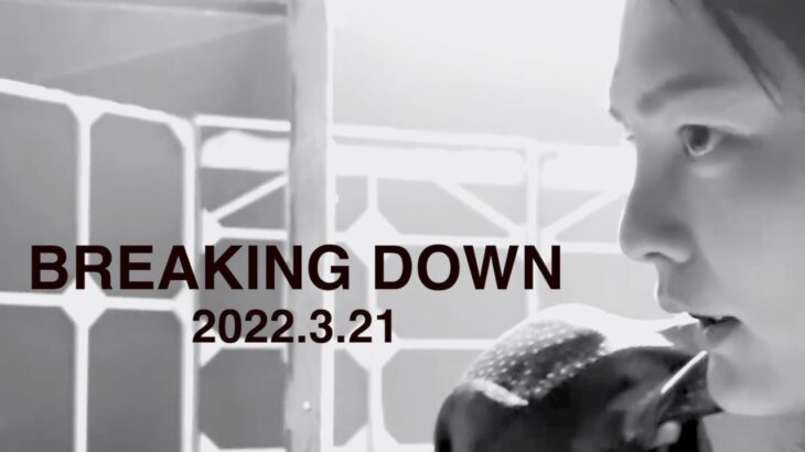 【青汁王子】Music Video : BREAKING DOWN【三崎優太 切り抜き】