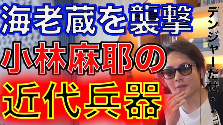 話題の海老蔵さんを回想【青汁王子/切り抜き/三崎優太/海老蔵/ガーシー/小林麻耶】