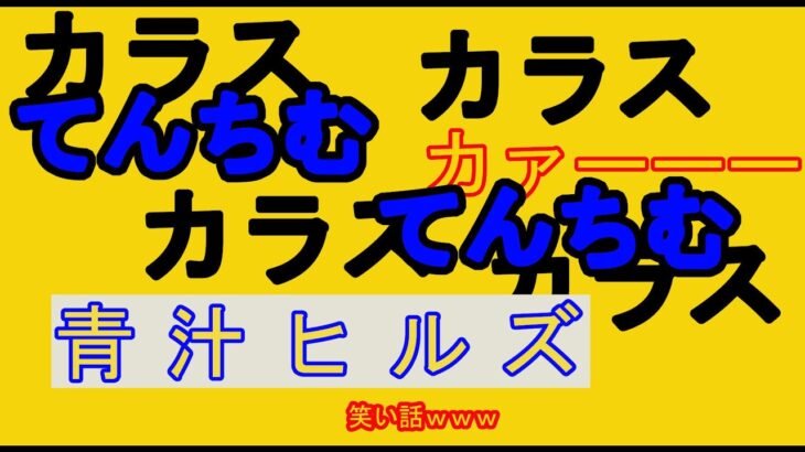 三崎優太【切り抜き】カラスが、てんちむ