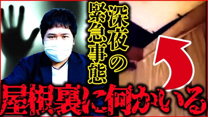 【#コレコレ #切り抜き】相談凸で「屋根裏に何かいる」…深夜の屋根裏実況で衝撃の○○が見つかる… #閲覧注意 #ホラー