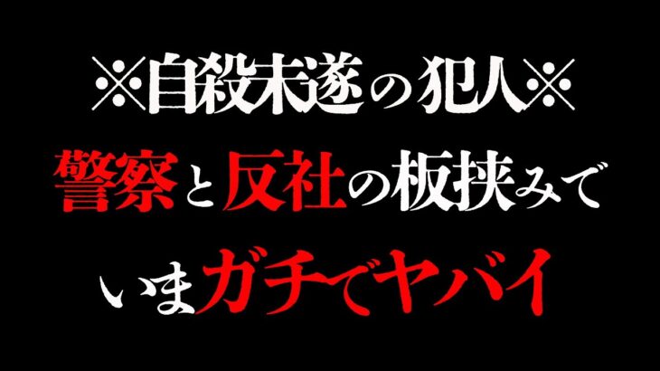 【青汁王子】もう事態はそうなりました。仮に今日消えたとしてももう分らないし、もう救えないし、もう遅い・・・【三崎優太/切り抜き】