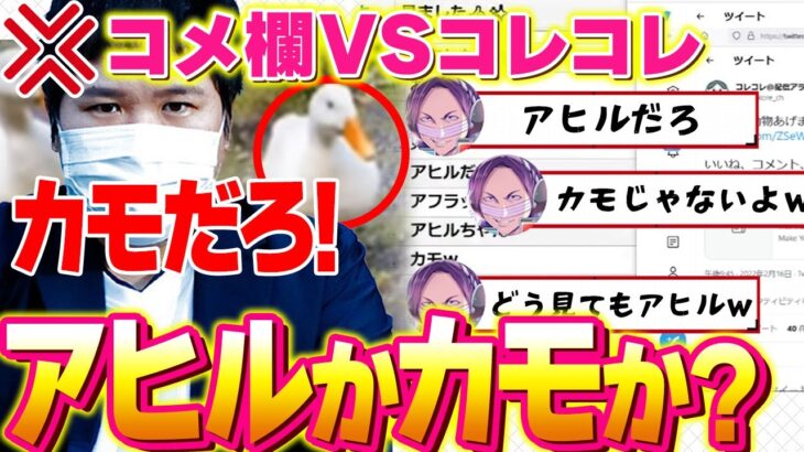 【コレリスVSコレコレ】この鳥はカモかアヒルか？おバカな対決が面白すぎるwww