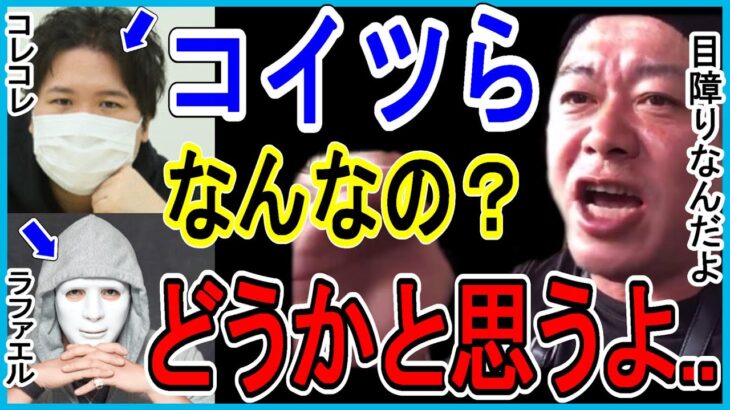 【ホリエモン】コレコレとかラファエルとかさ、法に触れなきゃ何でもやる奴って..【ヒカル 青汁王子 三崎優太 YouTuber ユーチューバー 堀江貴文 切り抜き】