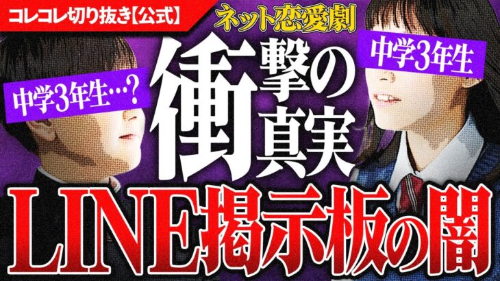 衝撃【中3生のネット恋愛】1●歳の男とLINE掲示板で→まさかの結末 #コレコレ切り抜き