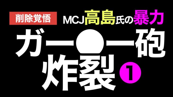 ガーシー砲炸裂！【最新】MCJ高島氏の暴力！　ver①(前半) 切り抜き　#ガーシー　#最新　#MCJ　#高島　#NHK　#立花