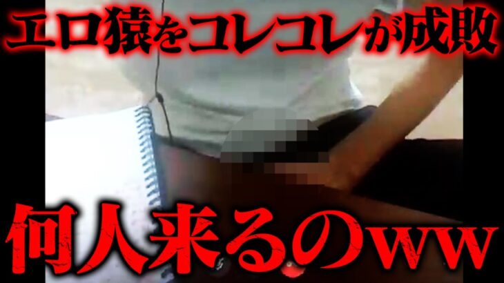 【衝撃】連絡先を晒され、エロ猿たちから鬼電が…それを返り討ちにしまくるコレコレがやばすぎるwww