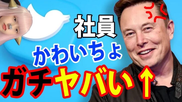 イーロン・マスクがTwitter社員をクビにして！炎上！【買収　ネットニュース Twitterで話題 最新情報】