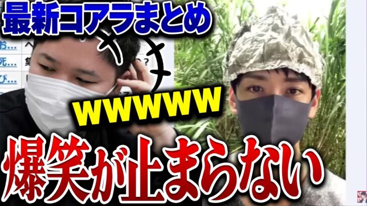 【大爆笑注意】史上最も不思議な男子コアラのお見合いからデートまでが面白すぎる…珍解答にコレコレの爆笑が止まらないwww