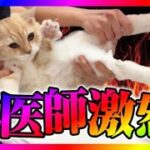 【緊急生放送】有名YouTuberからピンチでもう限界だと緊急相談！もちまる日記、病院で暴れる猫をエンタメとしてネタにし獣医師ブチギレ！